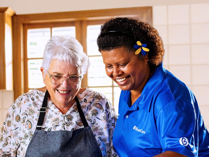 Commonwealth Home Support Program