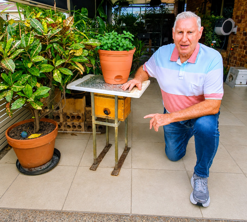 malcolm next to native stingless bees