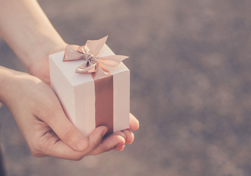 hands holding a small neatly wrapped present