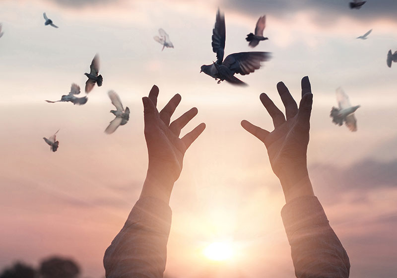 hands releasing doves into sunrise