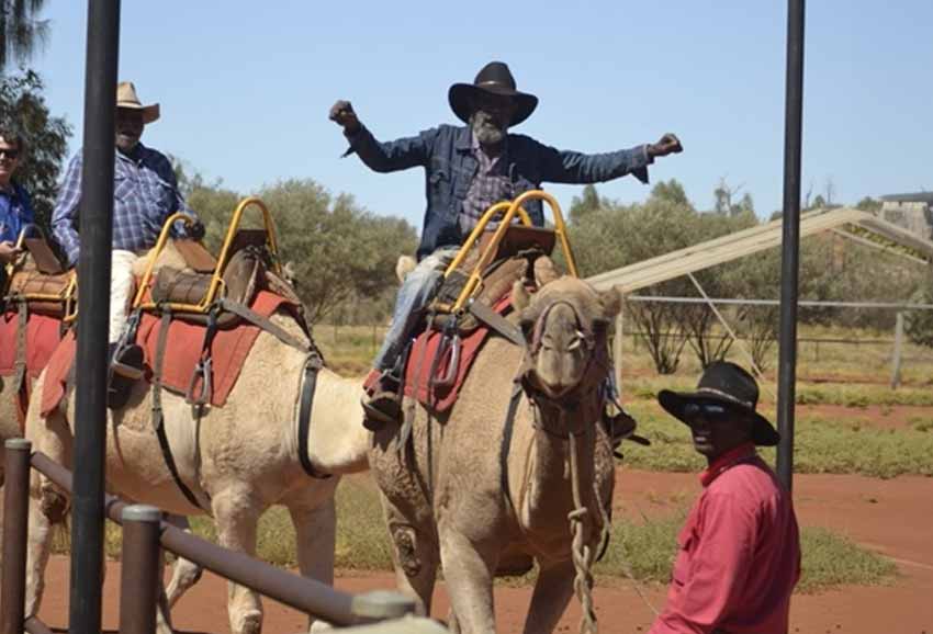 Aboriginal Elders ride camels with Uluru Camel Tours.